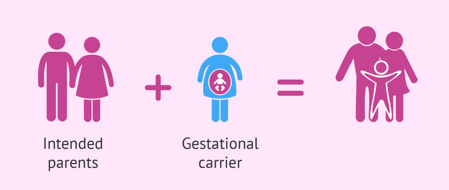 �갮�Թ����л�����ν�����������ͻ���ϵ������